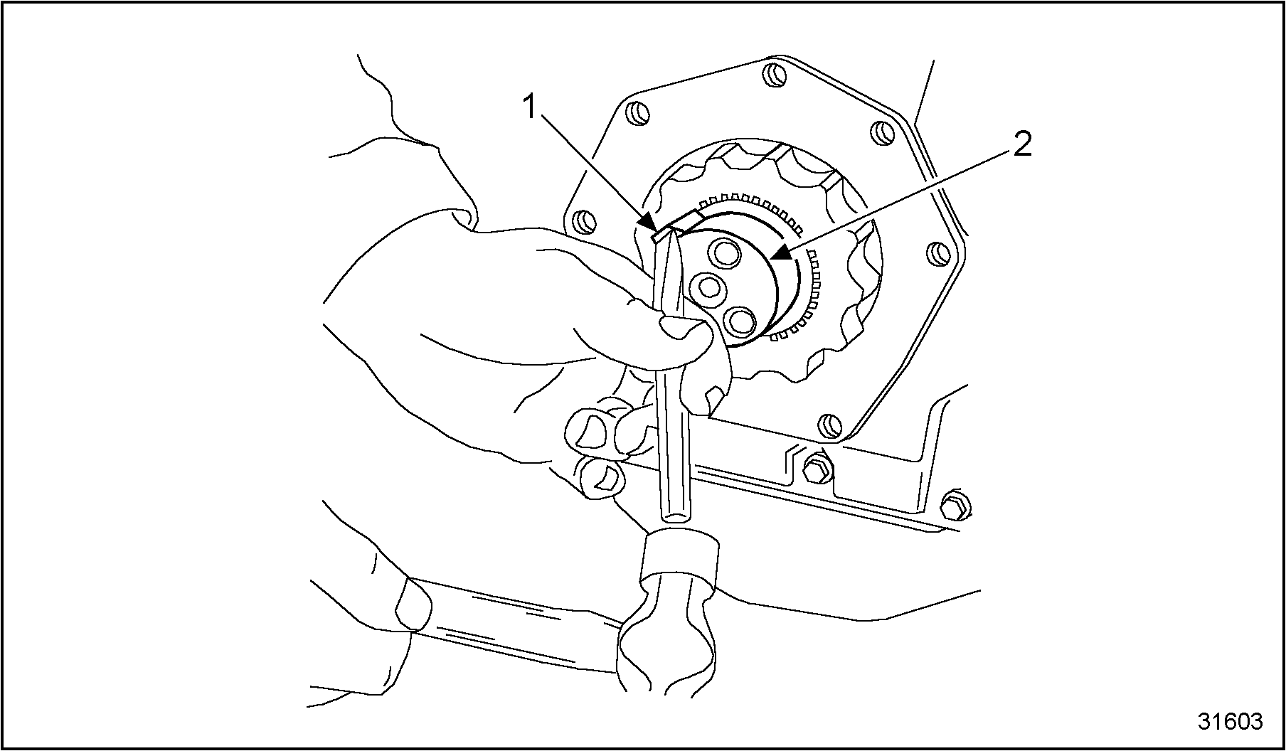 Click to see this graphic in a separate window