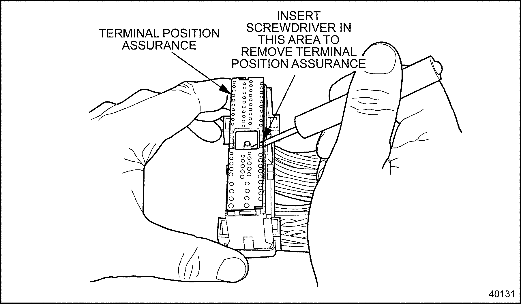 Click to see this graphic in a separate window