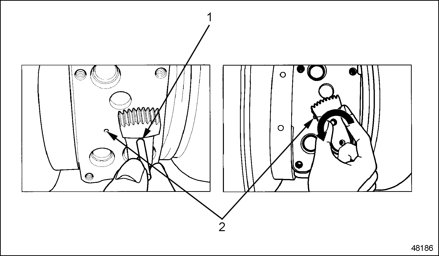 Click to see this graphic in a separate window